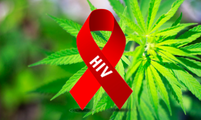 How Cannabis can prevent AIDS