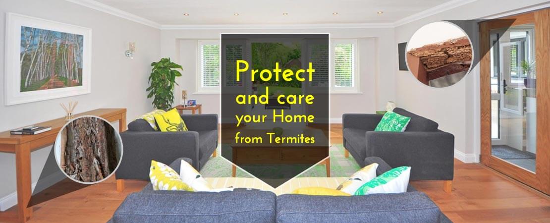 Effective Tips For Controlling Termites