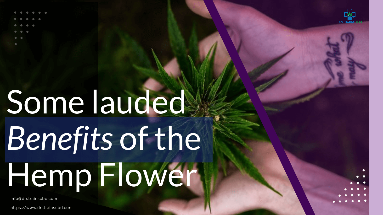 Some lauded benefits of the Hemp Flower