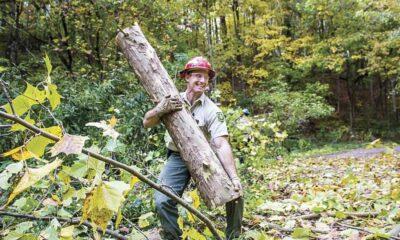 Forestry Tech