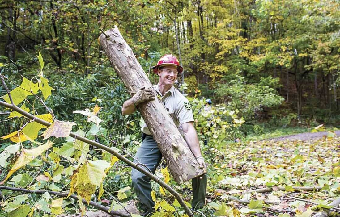Forestry Tech
