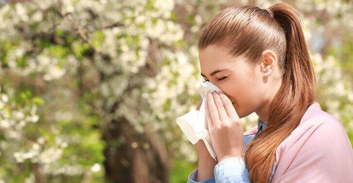 Allergies In Spring