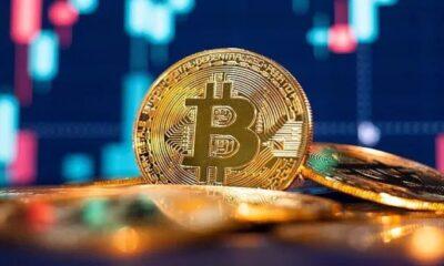 Day Trading Bitcoins: The Disadvantages and How to avoid them.