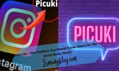 Picuki: Instagram editor and viewer
