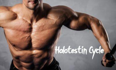 A Brief Guide On Halotestin For Bodybuilding And Its Results