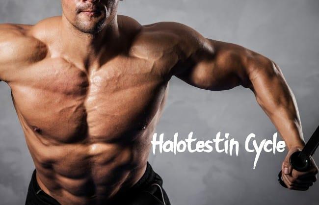 A Brief Guide On Halotestin For Bodybuilding And Its Results