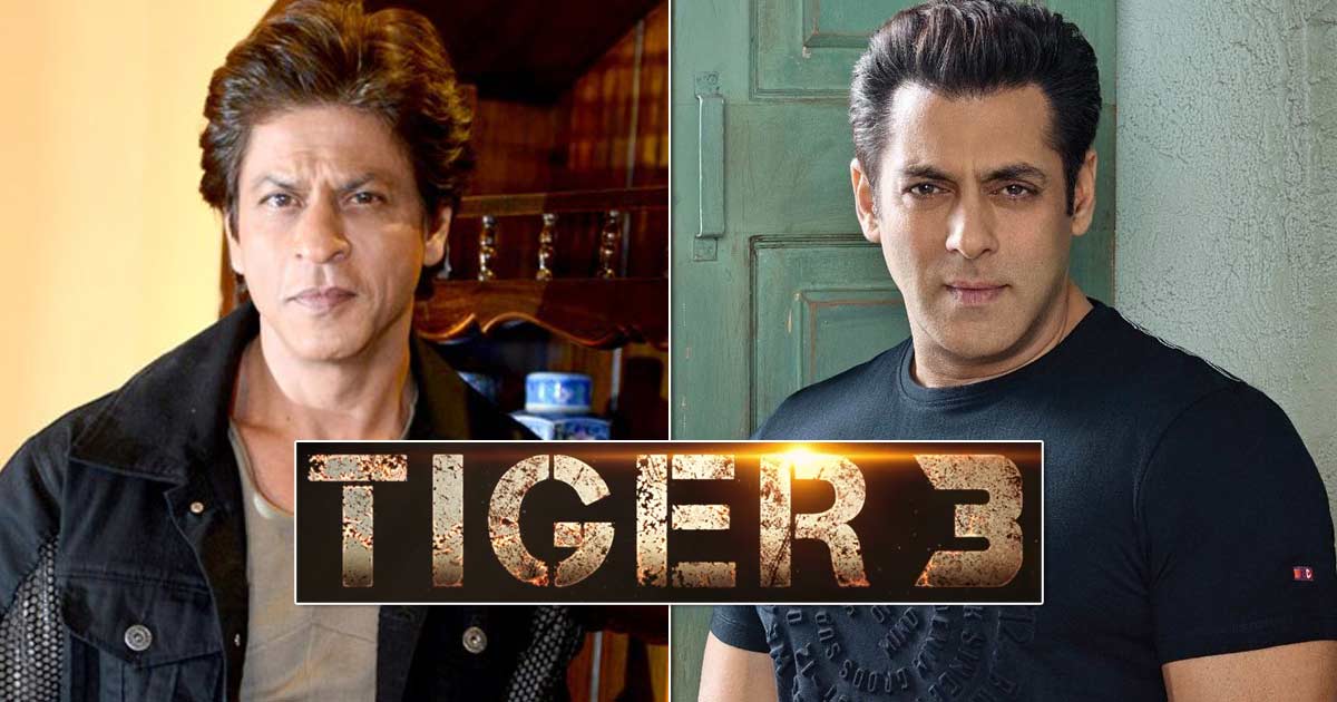 Tiger 3 – Salman Khan and Shah Rukh Khan's Upcoming Movie