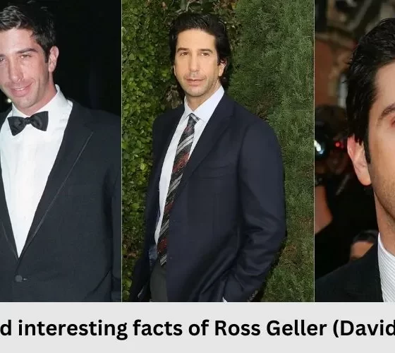Biography and interesting facts of Ross Geller (David Schwimmer)