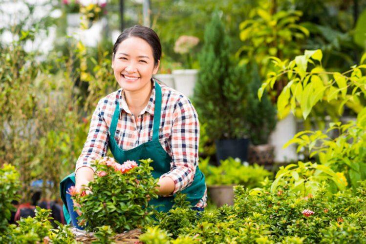 How to Become a Masterful Gardener From the Comfort of Your Home