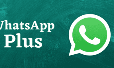 Latest Version Of WhatsApp Plus
