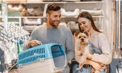 Owning A Business In The Pet Industry