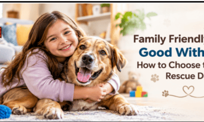 Family Friendly Dogs Good With Kids: How to Choose the Right Rescue Dog