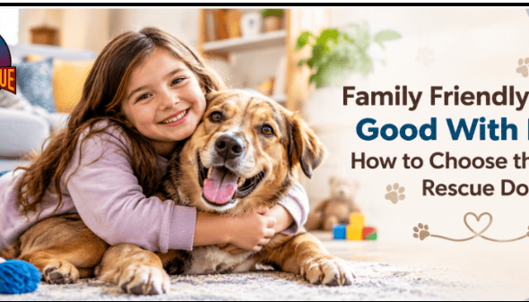 Family Friendly Dogs Good With Kids: How to Choose the Right Rescue Dog